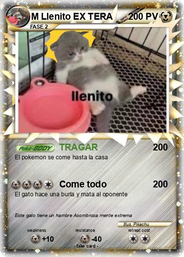 Pokemon M Llenito EX TERA