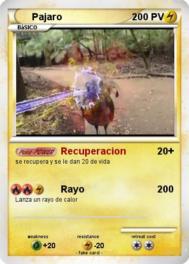 Pokemon Pajaro