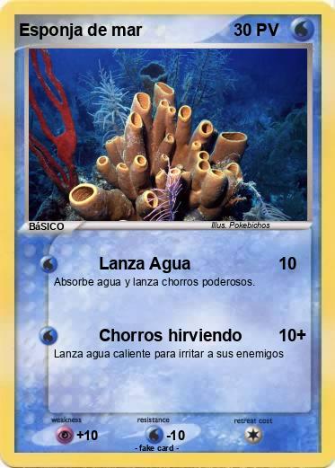 Pokemon Esponja de mar