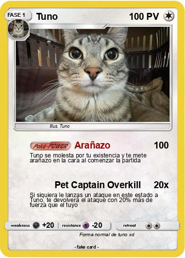 Pokemon Tuno