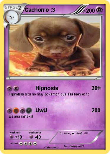 Pokemon Cachorro :3