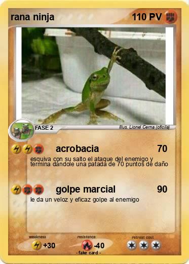 Pokemon rana ninja