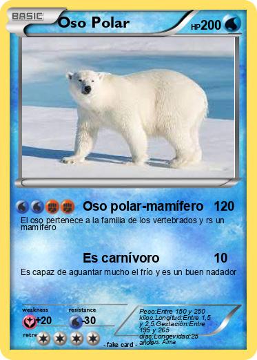 Pokemon Oso Polar