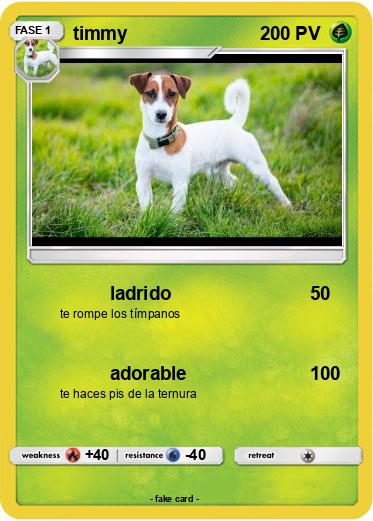Pokemon timmy
