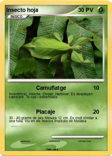 Pokemon Insecto hoja