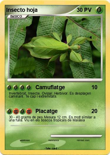 Pokemon Insecto hoja