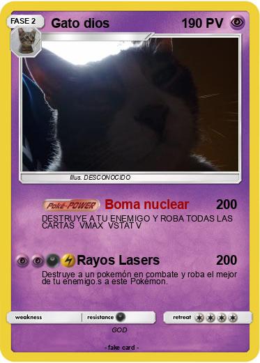 Pokemon Gato dios