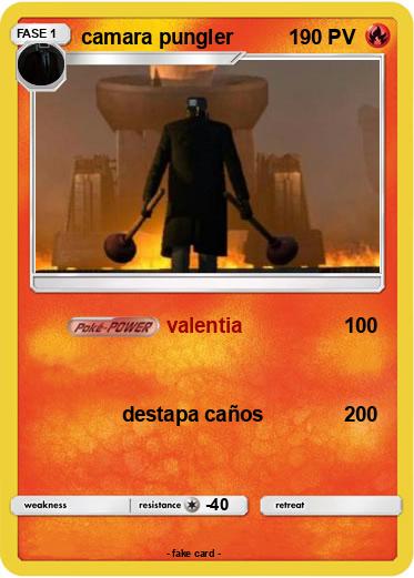 Pokemon camara pungler