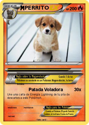 Pokemon PERRITO