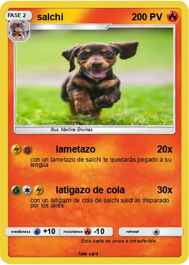 Pokemon salchi