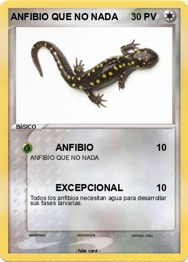 Pokemon ANFIBIO QUE NO NADA