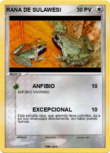 Pokemon RANA DE SULAWESI