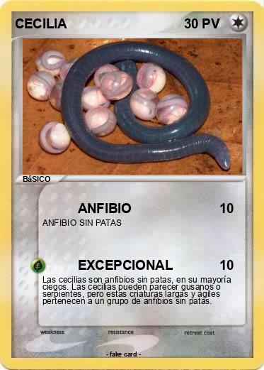 Pokemon CECILIA