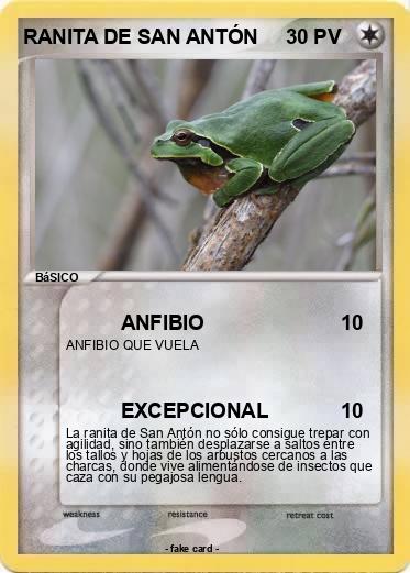 Pokemon RANITA DE SAN ANTÓN