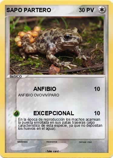 Pokemon SAPO PARTERO