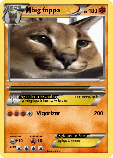 Pokemon big foppa