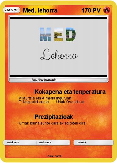 Pokemon Med. lehorra