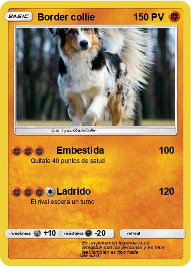 Pokemon Border collie