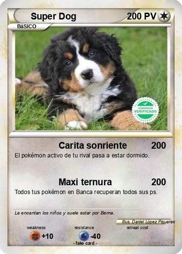 Pokemon Super Dog