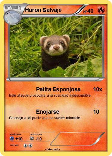 Pokemon Huron Salvaje