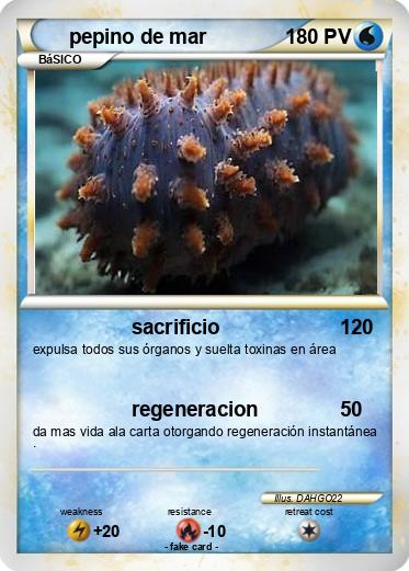 Pokemon pepino de mar