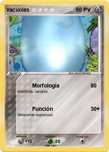 Pokemon Vacuolas