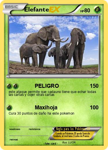 Pokemon Elefante