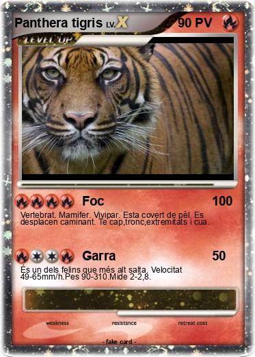 Pokemon Panthera tigris