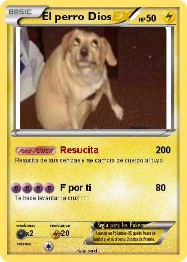 Pokemon El perro Dios