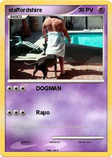 Pokemon staffordshire