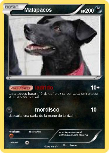 Pokemon Matapacos