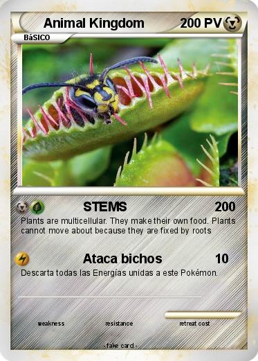 Pokemon Animal Kingdom