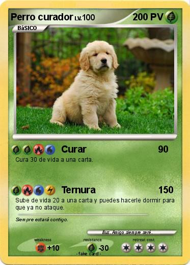 Pokemon Perro curador