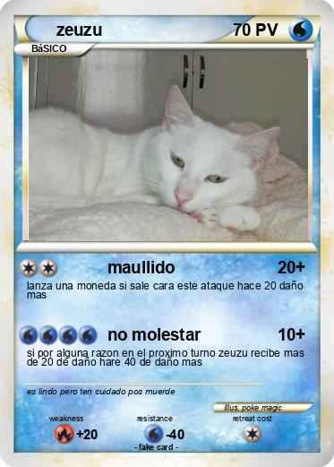 Pokemon zeuzu