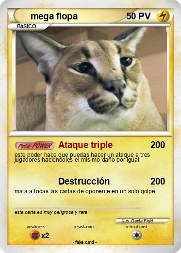 Pokemon mega flopa