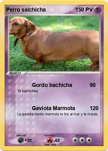 Pokemon Perro salchicha