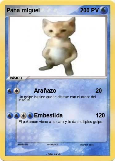 Pokemon Pana miguel