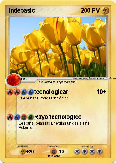 Pokemon indebasic