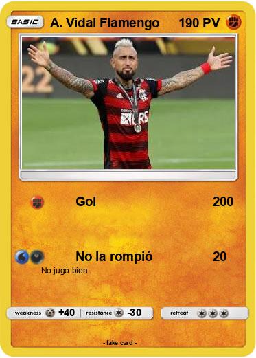 Pokemon A. Vidal Flamengo