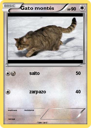 Pokemon Gato montés