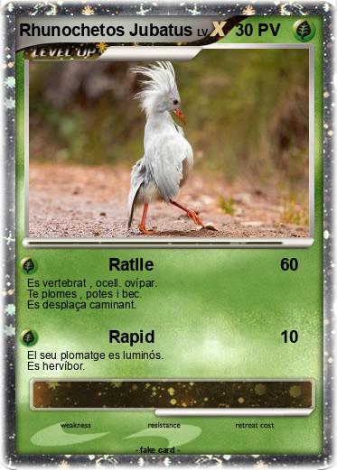 Pokemon Rhunochetos Jubatus