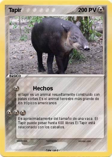 Pokemon Tapir
