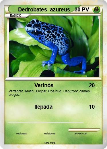 Pokemon Dedrobates  azureus