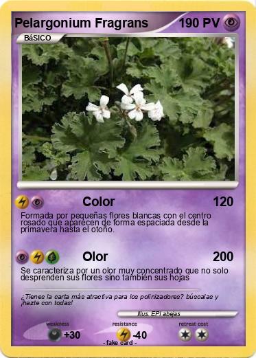 Pokemon Pelargonium Fragrans