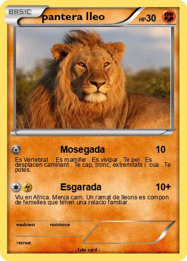 Pokemon pantera lleo