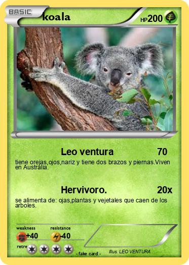 Pokemon koala