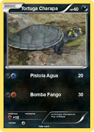 Pokemon Tortuga Charapa