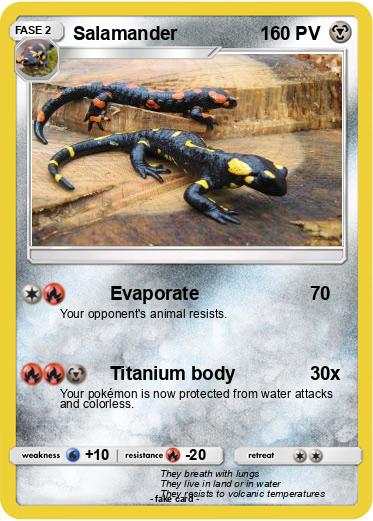 Pokemon Salamander