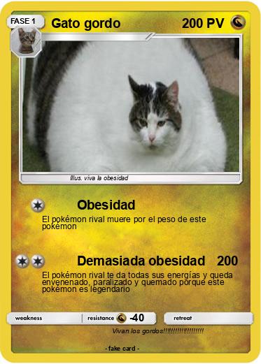 Pokemon Gato gordo