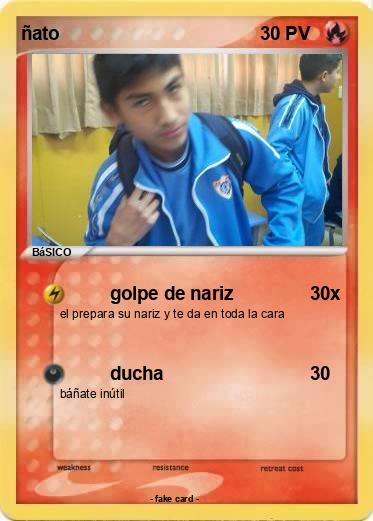 Pokemon ñato